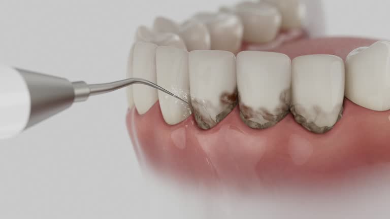 Reliable Dental contractor in Ferndale, PA by Dentist Open Now